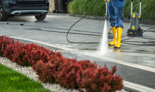 Best Pressure Washing Contractors  in Nederland, TX